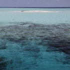 Atoll de Felidhe (Vaavu), Maldives, © Photo : Pascal Kober.