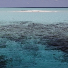 Atoll de Felidhe (Vaavu), Maldives, © Photo : Pascal Kober.