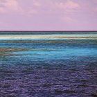 Atoll de Felidhe (Vaavu), Maldives, © Photo : Pascal Kober.