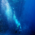 Atoll de Felidhe (Vaavu), Maldives. © Photo : Pascal Kober.