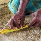 Sri Lanka 6763